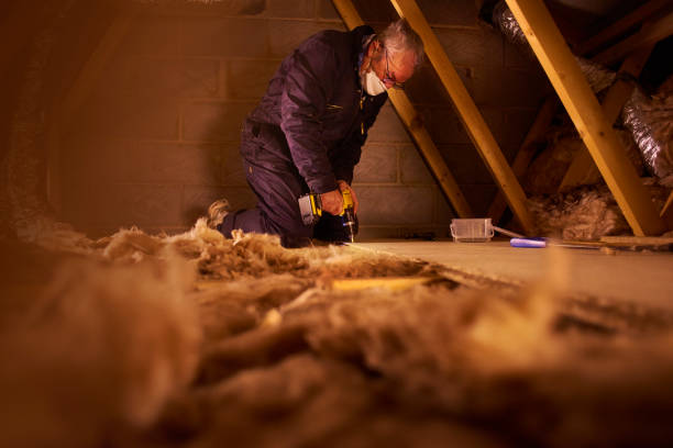Best Eco-Friendly Insulation in Worthington Hills, KY